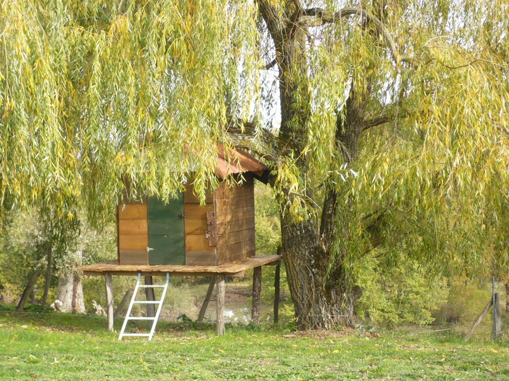 Les Convertigues Montjoire Exterior photo